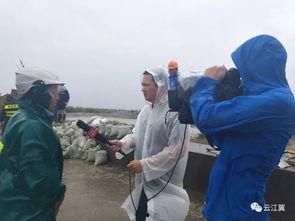 瑞安记者爆料新闻最新情况,揭秘事件背后惊人真相